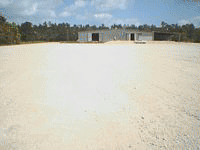 Wood Shavings Plant